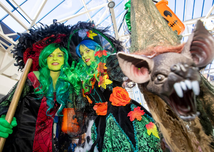 Palace's Halloween Party!