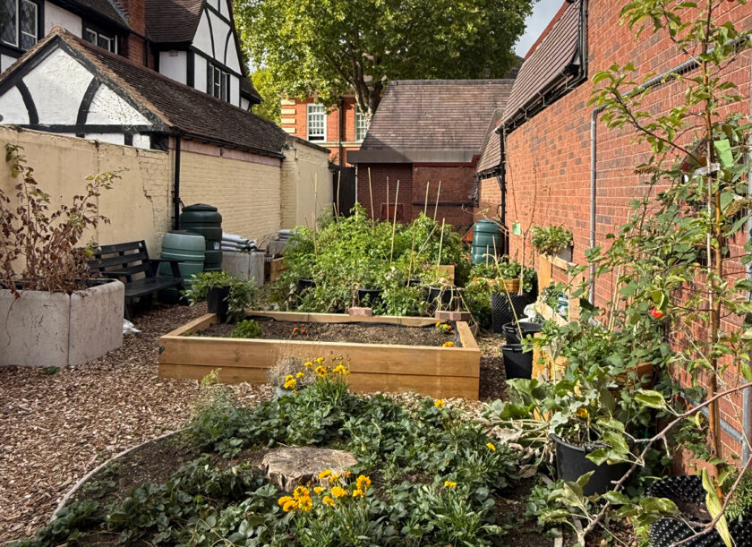 Growing together in Palace Shopping’s Secret Garden